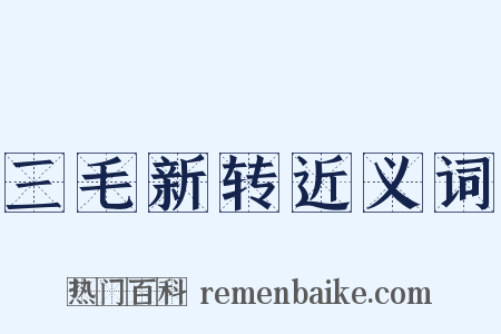 三毛新转近义词是什么意思的图片